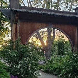 Meet your Posher, Colleen